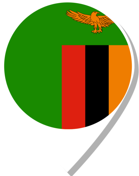 Flag of Zambia pinned